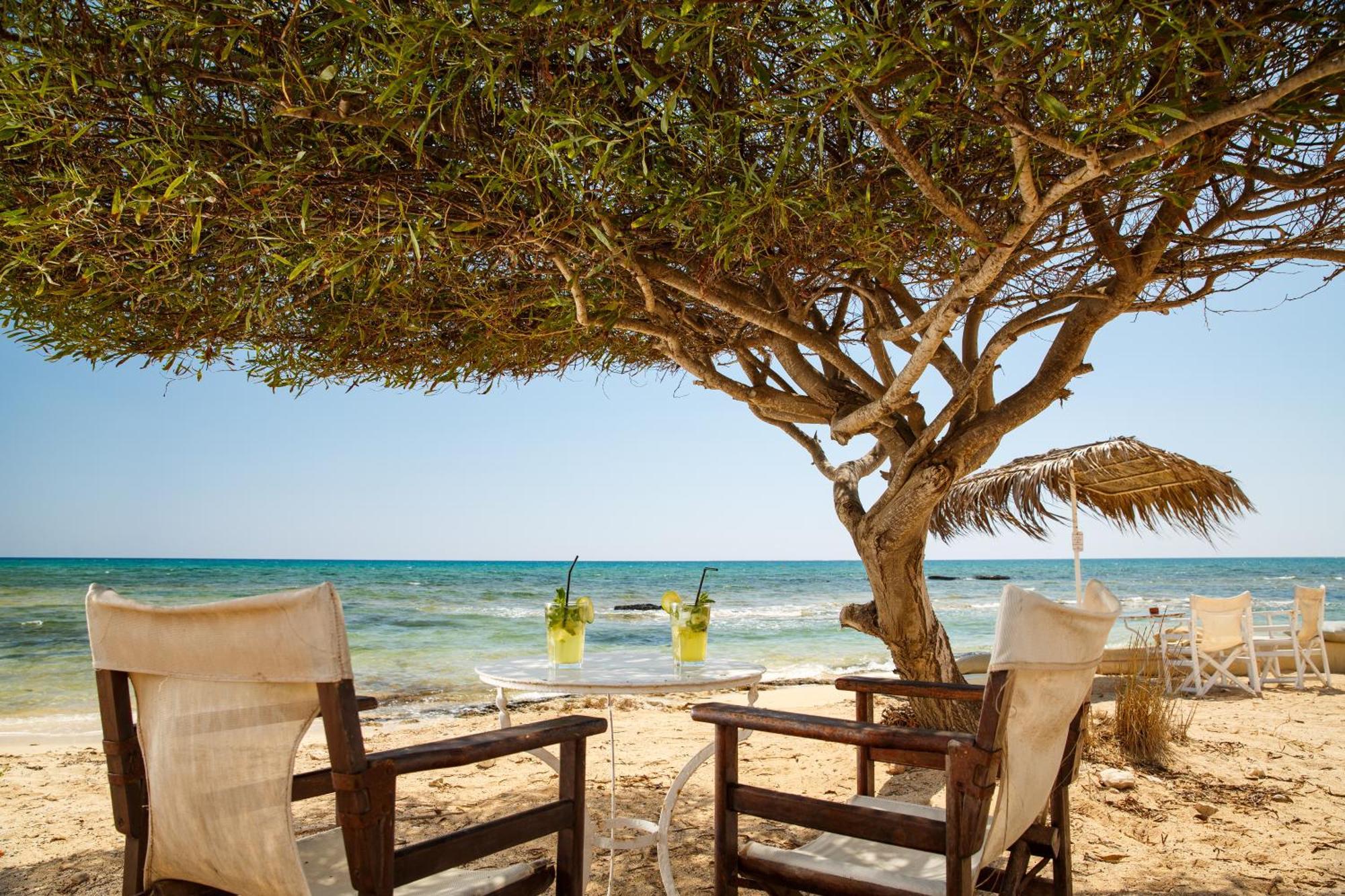 Thalassines Villas Айя-Напа Экстерьер фото
